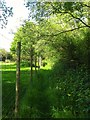 Footpath next to Blackstone Lane