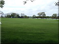 Cricket field, Quarndon Common