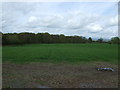 Farmland towards Ireton Rough