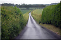 Road at Tumbledown Hill