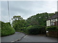 Lane junction between South and West Harting