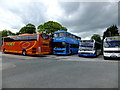 SJ0579 : Pick your colour of bus or coach by Richard Hoare