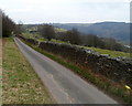 Stone wall south of  Mynyddislwyn