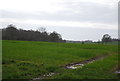 Undulating farmland near Boarfield Wood