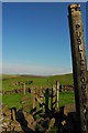 Footpath sign and gate