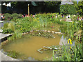 Pond in Red Cross Gardens