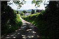 Byway near Llanwrda