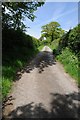 SN7031 : Byway to the west of Llanwrda by Philip Halling