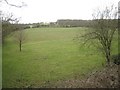 View from The Slough A448 across pastures to New Coppice