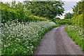 Mid Devon : West Spurway Lane