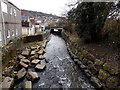 Downstream along the Upper Clydach River, Pontardawe