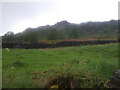 Grazing, Curbar Edge