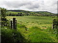 An open field, Magheranageeragh