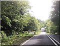 Approaching entrance to Dumfries House