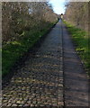 Fosse Lane cycle track and path in Leicester