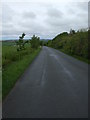 Road back to Rigg House Farm