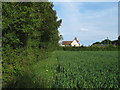 Arable field boundary, BonnyWood Farm, Willisham Tye