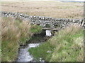 Bridge in a dry stone wall