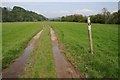 Path beside Afon Twyi