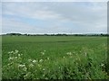 SU0956 : Farmland south-west of Wilsford by Christine Johnstone