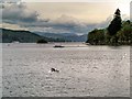 SD4096 : View North from Bowness Bay by David Dixon