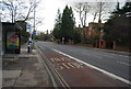 Bus lane, Banbury Rd