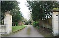 Gate piers, Somerville House