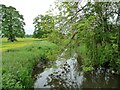 River Avon, downstream [east] of Rushall Bridge