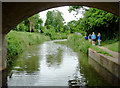 Droitwich Barge Canal  near Droitwich Spa, Worcestershire