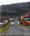 Hillside view from Cwm Farm Lane, Abertillery