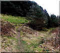 Hillside track, Penrhiwgarreg, Abertillery