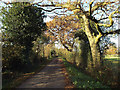 Lane to Big Forhill Farm, Forhill