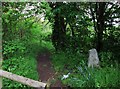 Footpath from Kingsway to Burlish Top Nature Reserve, near Stourport-on-Severn