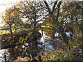 Pond near Big Forhill Farm