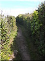 Anglesey Coastal Path