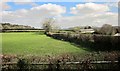 Sheep pasture near Teigncombe