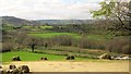 Valley near Easton