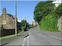 SE0623 : Beech Road - viewed from Church Bank by Betty Longbottom