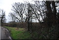 Footpath, Foreland Wood