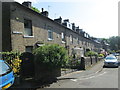 Willow Terrace - Steps Lane