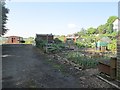 Allotments - Steps Lane