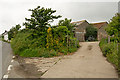 Warren Farm on the B3231 Saunton Road