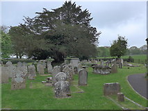 SY9693 : Parish church, Lytchett Minster: churchyard (5) by Basher Eyre