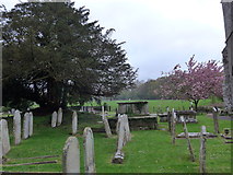 SY9693 : Parish church, Lytchett Minster: churchyard (8) by Basher Eyre