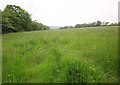 Field near Sunnymead