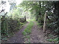 Farm track off the B3215 - with the gates open