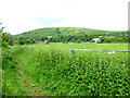 View of Vineyard Hole from footpath towards Frogmore