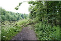 Trans Pennine Trail along the River Don