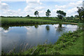 Pond near Denston