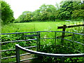 Path crosses field on the way to Doctors Lane